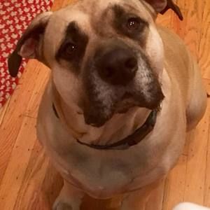 Meet your Posher, Hillary